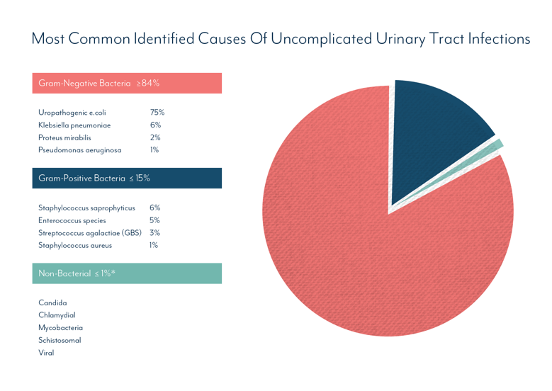 What Causes UTIs - A breakdown of pathogens USA