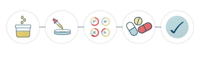 Chronic Urinary Tract Infection - Simplified Journey of a UTI