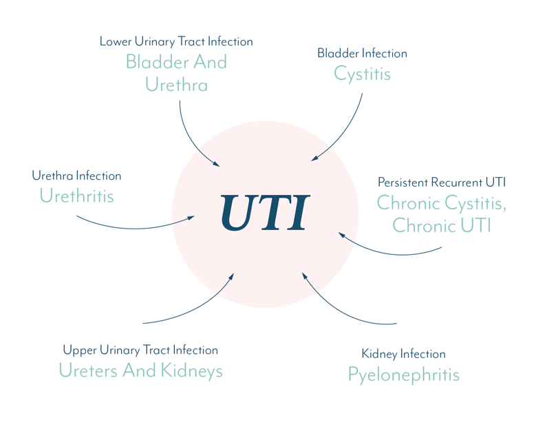 What Causes A Urinary Tract Infection How Do You Clear Uti 3583