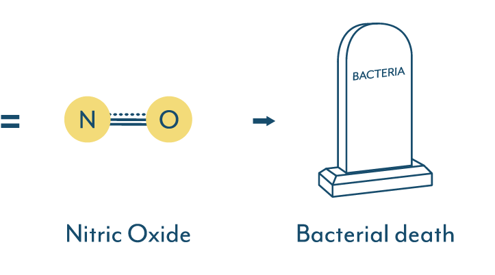 Does Vitamin C kill UTI bacteria?