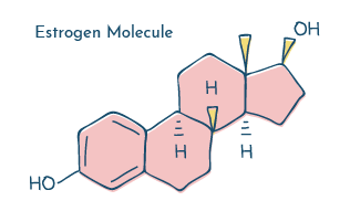 UTI and hormones