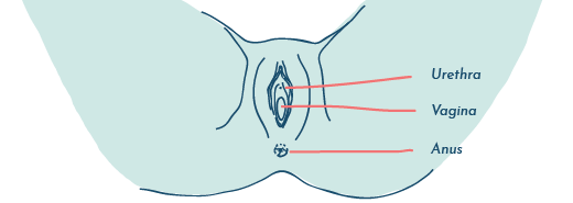 Lower Urinary Tract Symptoms: How to tell if it's really UTI