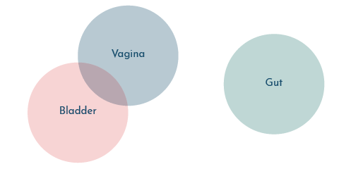 Recurrent uti in pregnancy