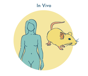 In vivo vs. in vitro - UTI research