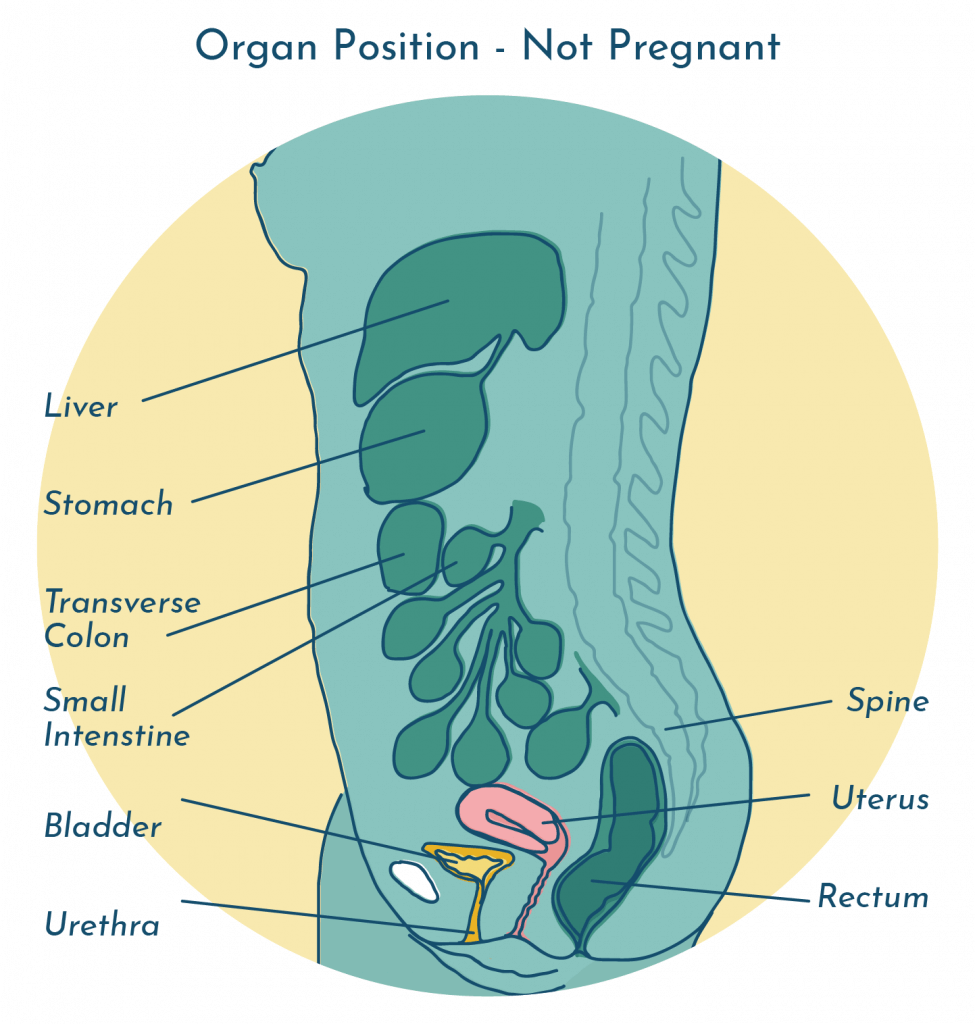 What happens if I get a UTI or BV during pregnancy?