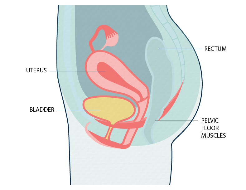 Why Can't I Hold My Pee: Causes and Treatment of Urinary Incontinence