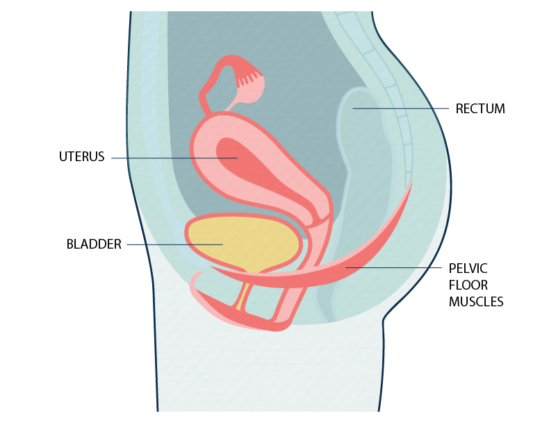 Can Urinary Incontinence Cause UTIs? Short answer - Yes!