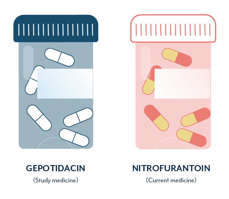 UTI clinical trial antibiotics