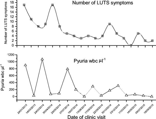 Symptom graph from Professor Malone-Lee's clinic