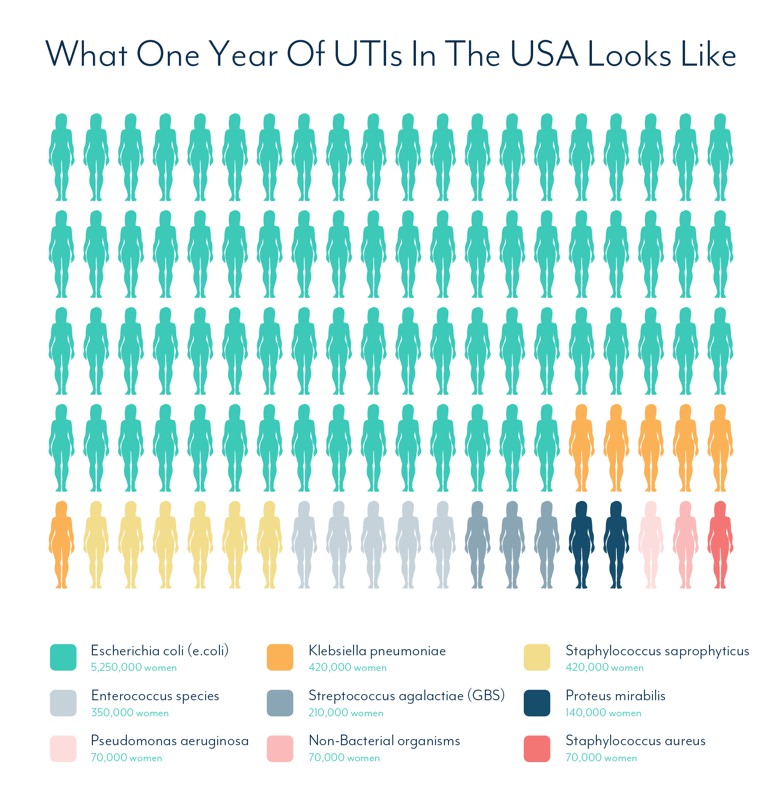 What Causes A Urinary Tract Infection - One Year Of UTIs In The USA By Pathogen